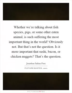 Whether we’re talking about fish species, pigs, or some other eaten animal, is such suffering the most important thing in the world? Obviously not. But that’s not the question. Is it more important that sushi, bacon, or chicken nuggets? That’s the question Picture Quote #1