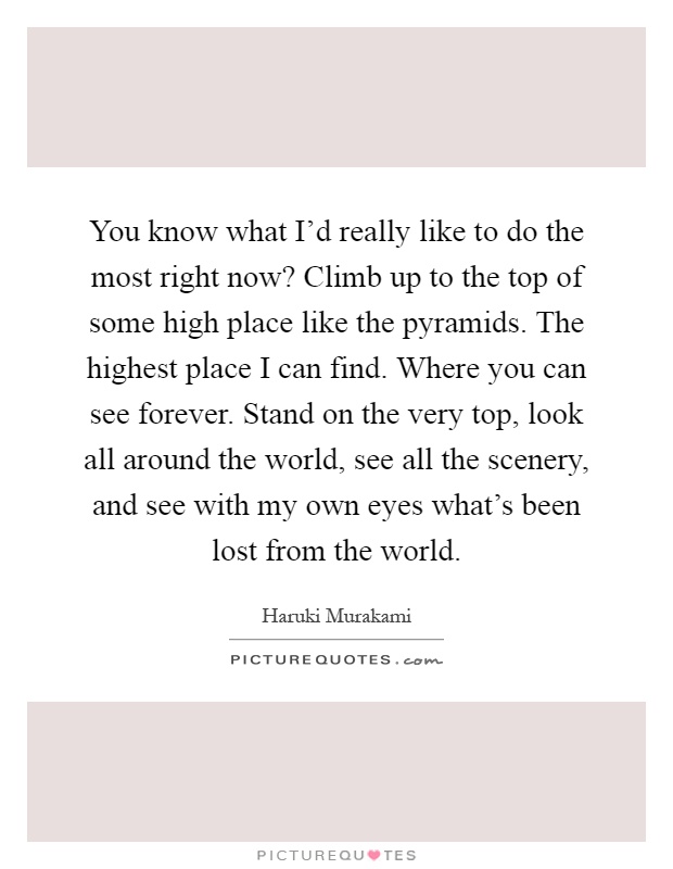 You know what I'd really like to do the most right now? Climb up to the top of some high place like the pyramids. The highest place I can find. Where you can see forever. Stand on the very top, look all around the world, see all the scenery, and see with my own eyes what's been lost from the world Picture Quote #1