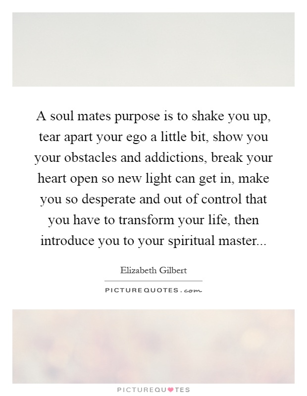 A soul mates purpose is to shake you up, tear apart your ego a little bit, show you your obstacles and addictions, break your heart open so new light can get in, make you so desperate and out of control that you have to transform your life, then introduce you to your spiritual master Picture Quote #1