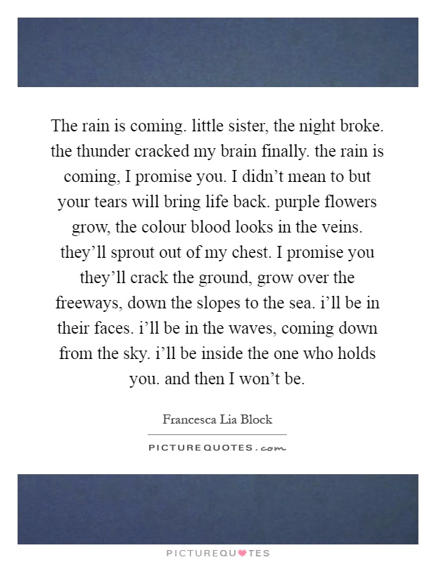 The rain is coming. little sister, the night broke. the thunder cracked my brain finally. the rain is coming, I promise you. I didn't mean to but your tears will bring life back. purple flowers grow, the colour blood looks in the veins. they'll sprout out of my chest. I promise you they'll crack the ground, grow over the freeways, down the slopes to the sea. i'll be in their faces. i'll be in the waves, coming down from the sky. i'll be inside the one who holds you. and then I won't be Picture Quote #1