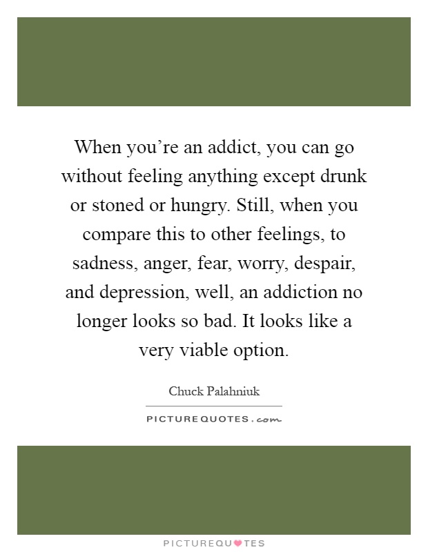 When you're an addict, you can go without feeling anything except drunk or stoned or hungry. Still, when you compare this to other feelings, to sadness, anger, fear, worry, despair, and depression, well, an addiction no longer looks so bad. It looks like a very viable option Picture Quote #1
