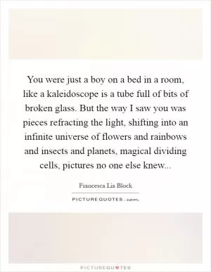 You were just a boy on a bed in a room, like a kaleidoscope is a tube full of bits of broken glass. But the way I saw you was pieces refracting the light, shifting into an infinite universe of flowers and rainbows and insects and planets, magical dividing cells, pictures no one else knew Picture Quote #1
