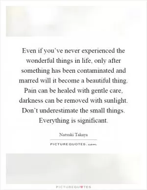 Even if you’ve never experienced the wonderful things in life, only after something has been contaminated and marred will it become a beautiful thing. Pain can be healed with gentle care, darkness can be removed with sunlight. Don’t underestimate the small things. Everything is significant Picture Quote #1