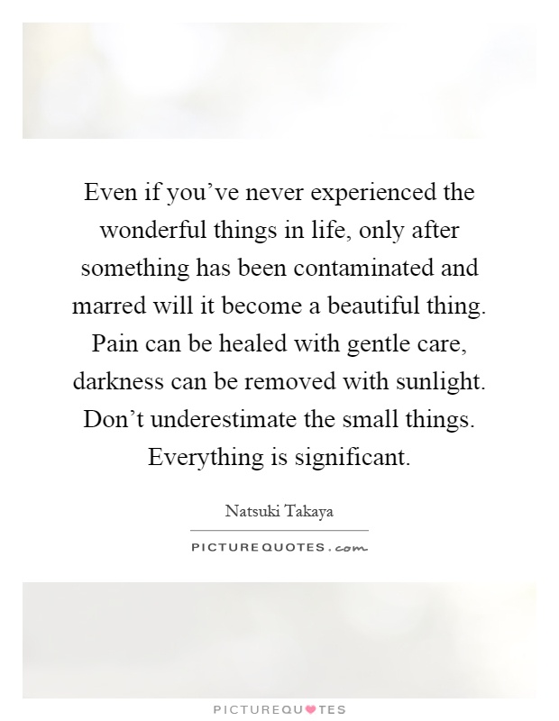 Even if you've never experienced the wonderful things in life, only after something has been contaminated and marred will it become a beautiful thing. Pain can be healed with gentle care, darkness can be removed with sunlight. Don't underestimate the small things. Everything is significant Picture Quote #1