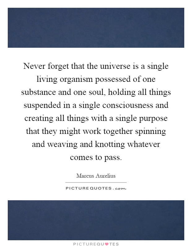 Never forget that the universe is a single living organism possessed of one substance and one soul, holding all things suspended in a single consciousness and creating all things with a single purpose that they might work together spinning and weaving and knotting whatever comes to pass Picture Quote #1