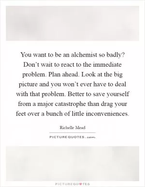 You want to be an alchemist so badly? Don’t wait to react to the immediate problem. Plan ahead. Look at the big picture and you won’t ever have to deal with that problem. Better to save yourself from a major catastrophe than drag your feet over a bunch of little inconveniences Picture Quote #1