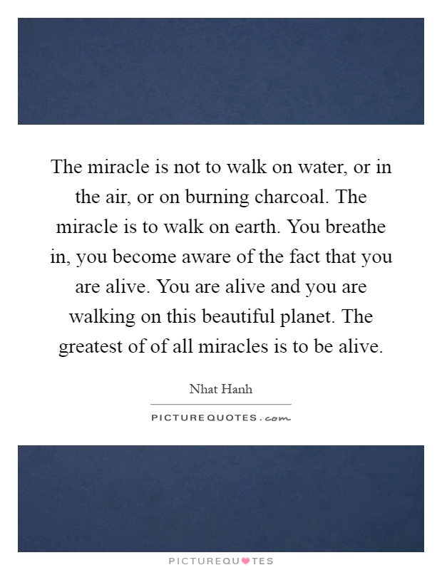 The miracle is not to walk on water, or in the air, or on burning charcoal. The miracle is to walk on earth. You breathe in, you become aware of the fact that you are alive. You are alive and you are walking on this beautiful planet. The greatest of of all miracles is to be alive Picture Quote #1