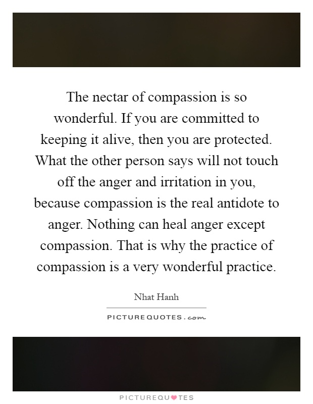 The nectar of compassion is so wonderful. If you are committed to keeping it alive, then you are protected. What the other person says will not touch off the anger and irritation in you, because compassion is the real antidote to anger. Nothing can heal anger except compassion. That is why the practice of compassion is a very wonderful practice Picture Quote #1