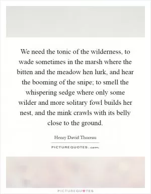 We need the tonic of the wilderness, to wade sometimes in the marsh where the bitten and the meadow hen lurk, and hear the booming of the snipe; to smell the whispering sedge where only some wilder and more solitary fowl builds her nest, and the mink crawls with its belly close to the ground Picture Quote #1
