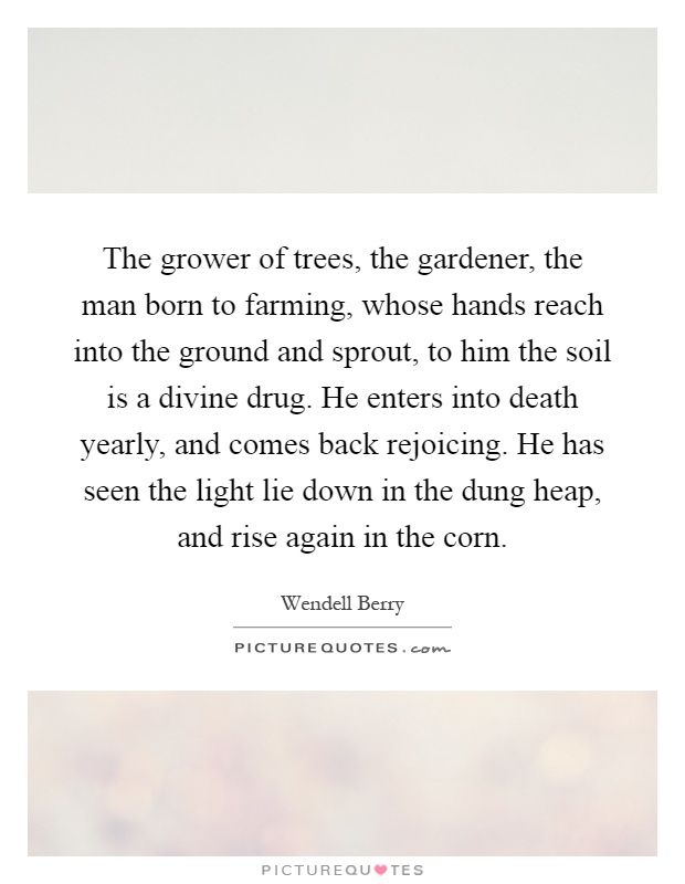 The grower of trees, the gardener, the man born to farming, whose hands reach into the ground and sprout, to him the soil is a divine drug. He enters into death yearly, and comes back rejoicing. He has seen the light lie down in the dung heap, and rise again in the corn Picture Quote #1