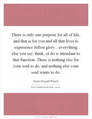 There is only one purpose for all of life, and that is for you and all that lives to experience fullest glory... everything else you say, think, or do is attendant to that function. There is nothing else for your soul to do, and nothing else your soul wants to do Picture Quote #1