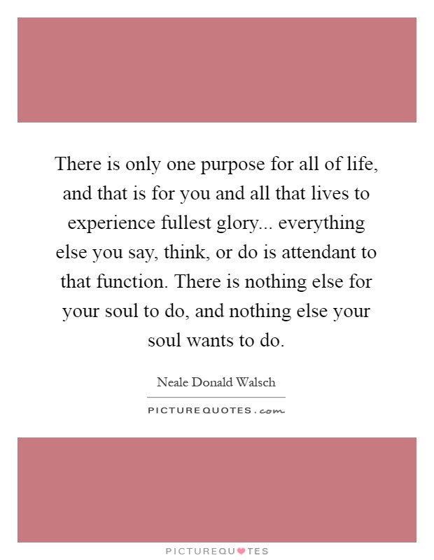 There is only one purpose for all of life, and that is for you and all that lives to experience fullest glory... everything else you say, think, or do is attendant to that function. There is nothing else for your soul to do, and nothing else your soul wants to do Picture Quote #1
