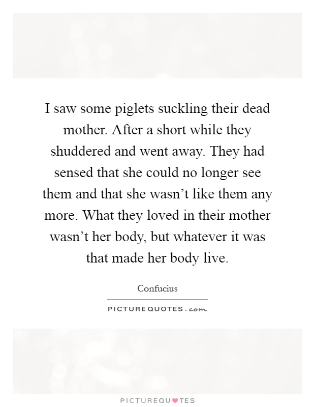 I saw some piglets suckling their dead mother. After a short while they shuddered and went away. They had sensed that she could no longer see them and that she wasn't like them any more. What they loved in their mother wasn't her body, but whatever it was that made her body live Picture Quote #1