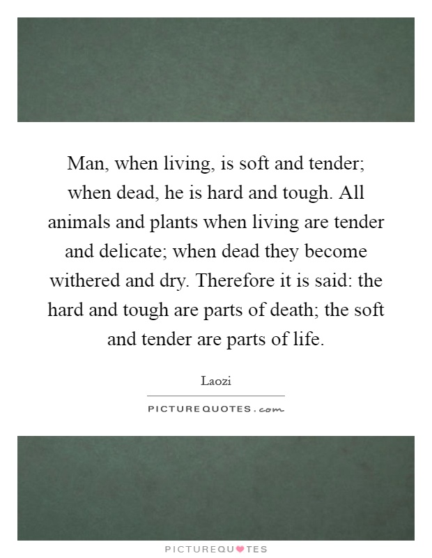 Man, when living, is soft and tender; when dead, he is hard and tough. All animals and plants when living are tender and delicate; when dead they become withered and dry. Therefore it is said: the hard and tough are parts of death; the soft and tender are parts of life Picture Quote #1