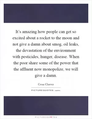 It’s amazing how people can get so excited about a rocket to the moon and not give a damn about smog, oil leaks, the devastation of the environment with pesticides, hunger, disease. When the poor share some of the power that the affluent now monopolize, we will give a damn Picture Quote #1