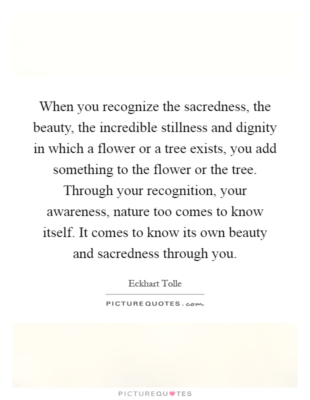 When you recognize the sacredness, the beauty, the incredible stillness and dignity in which a flower or a tree exists, you add something to the flower or the tree. Through your recognition, your awareness, nature too comes to know itself. It comes to know its own beauty and sacredness through you Picture Quote #1