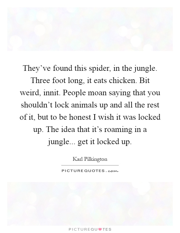 They've found this spider, in the jungle. Three foot long, it eats chicken. Bit weird, innit. People moan saying that you shouldn't lock animals up and all the rest of it, but to be honest I wish it was locked up. The idea that it's roaming in a jungle... get it locked up Picture Quote #1