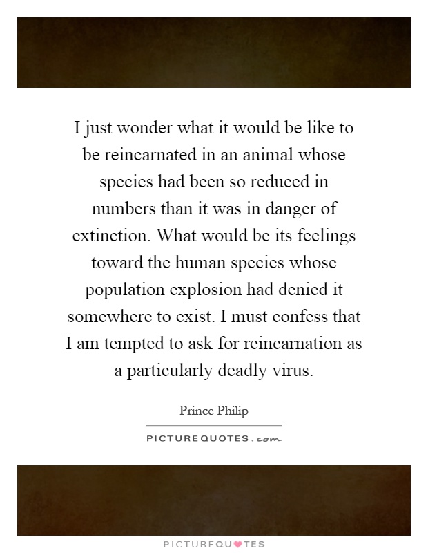 I just wonder what it would be like to be reincarnated in an animal whose species had been so reduced in numbers than it was in danger of extinction. What would be its feelings toward the human species whose population explosion had denied it somewhere to exist. I must confess that I am tempted to ask for reincarnation as a particularly deadly virus Picture Quote #1