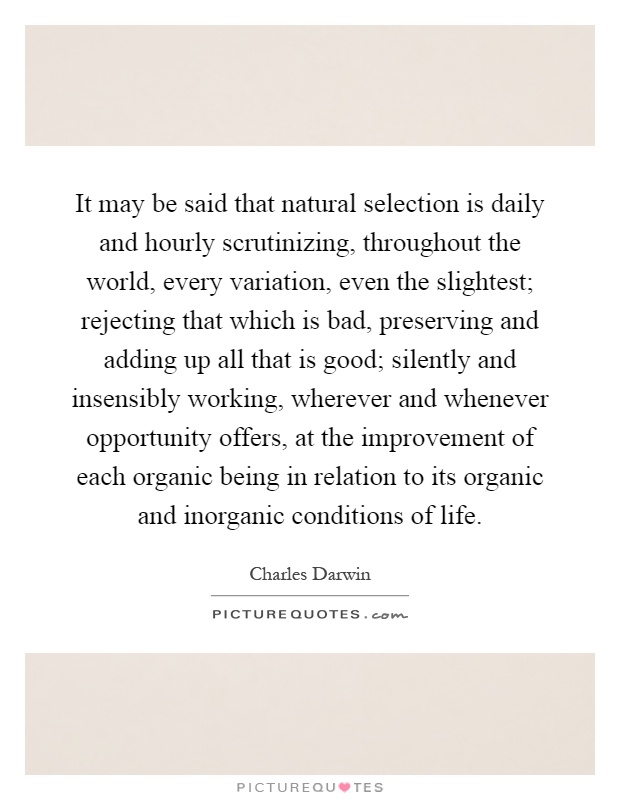 It may be said that natural selection is daily and hourly scrutinizing, throughout the world, every variation, even the slightest; rejecting that which is bad, preserving and adding up all that is good; silently and insensibly working, wherever and whenever opportunity offers, at the improvement of each organic being in relation to its organic and inorganic conditions of life Picture Quote #1
