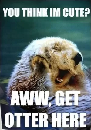 You think I'm cute? Aww, get otter here Picture Quote #1