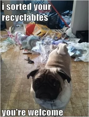 I sorted your recyclables. You're welcome Picture Quote #1