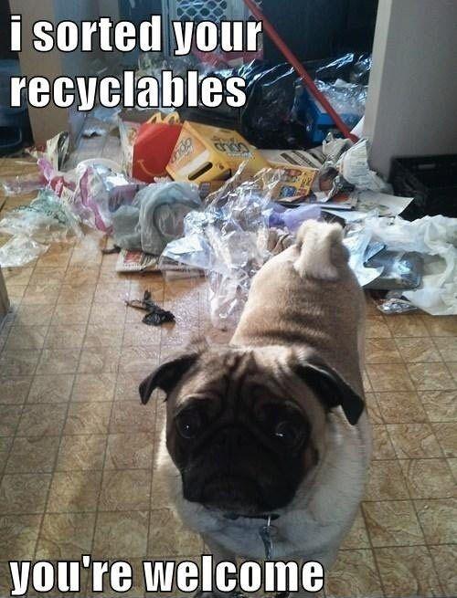 I sorted your recyclables. You're welcome Picture Quote #1
