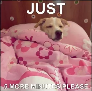 Just 5 more minutes please Picture Quote #1