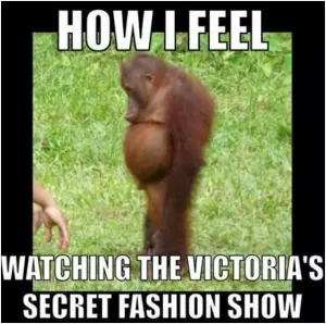 How I feel watching the Victoria's Secret fashion show Picture Quote #1
