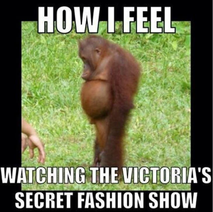 How I feel watching the Victoria's Secret fashion show Picture Quote #1