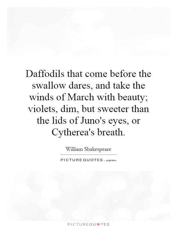 Daffodils that come before the swallow dares, and take the winds of March with beauty; violets, dim, but sweeter than the lids of Juno's eyes, or Cytherea's breath Picture Quote #1