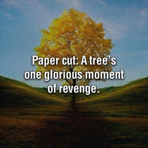 Paper cut: A tree's one glorious moment of revenge Picture Quote #1