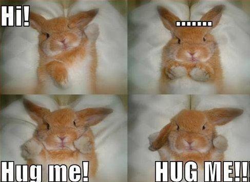 Hi! Hug me! Hug me! Picture Quote #1