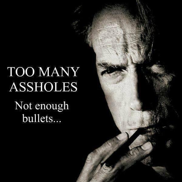 Too many assholes. Not enough bullets Picture Quote #1