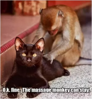 O.k. fine. The massage monkey can stay Picture Quote #1