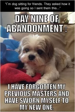 I'm dog sitting for friends. They asked how it was going so I sent them this. Day nine of abandonment: I have forgotten my previous masters and have sworn myself to a new one Picture Quote #1