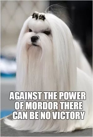 Against the power of Mordor there can be no victory Picture Quote #1