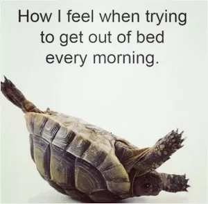 How I feel when trying to get out of bed every morning Picture Quote #1