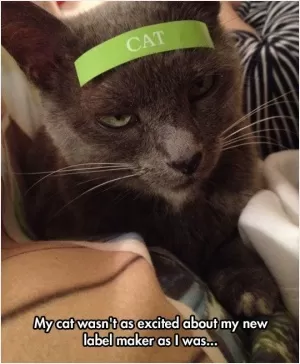 My cat wasn't as excited about my new label maker as I was Picture Quote #1