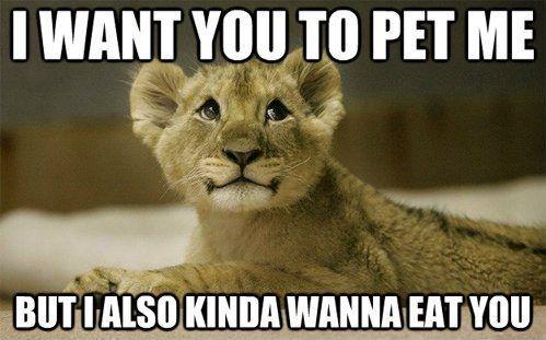 I want you to pet me, but I also kinda wanna eat you Picture Quote #1