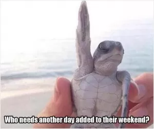 Who needs another day added to their weekend? Picture Quote #1