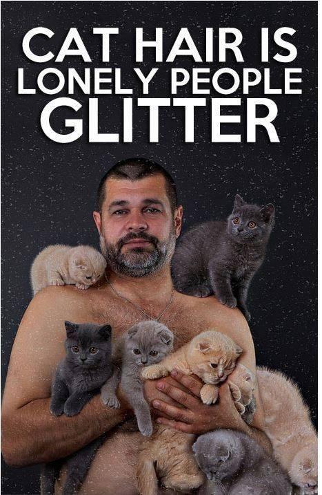 Cat hair is lonely people glitter Picture Quote #1