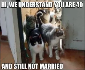 Hi, we understand you are 40 and not married Picture Quote #1