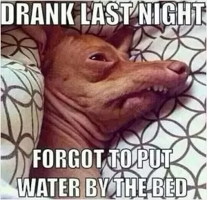 Drank last night. Forgot to put water by the bed Picture Quote #1