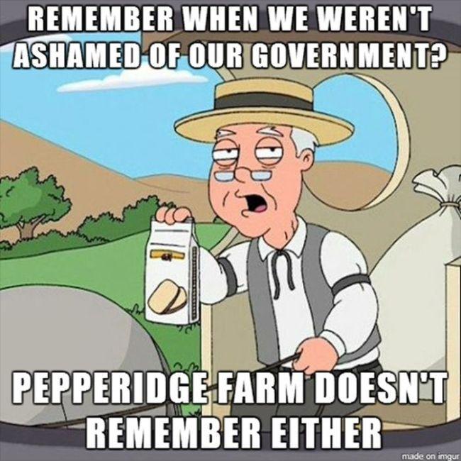 Remember when we weren't ashamed of our government? Pepperidge farm doesn't remember either Picture Quote #1