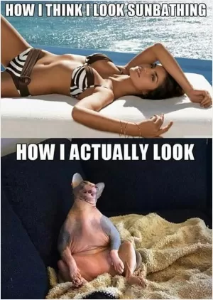 How I think I look sunbathing. How I actually look Picture Quote #1