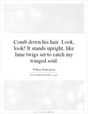 Comb down his hair. Look, look! It stands upright, like lime twigs set to catch my winged soul Picture Quote #1