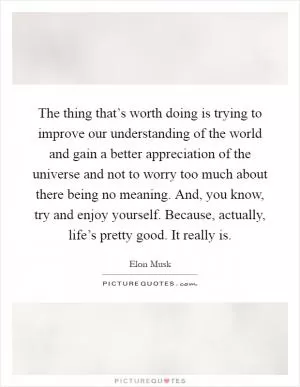 The thing that’s worth doing is trying to improve our understanding of the world and gain a better appreciation of the universe and not to worry too much about there being no meaning. And, you know, try and enjoy yourself. Because, actually, life’s pretty good. It really is Picture Quote #1