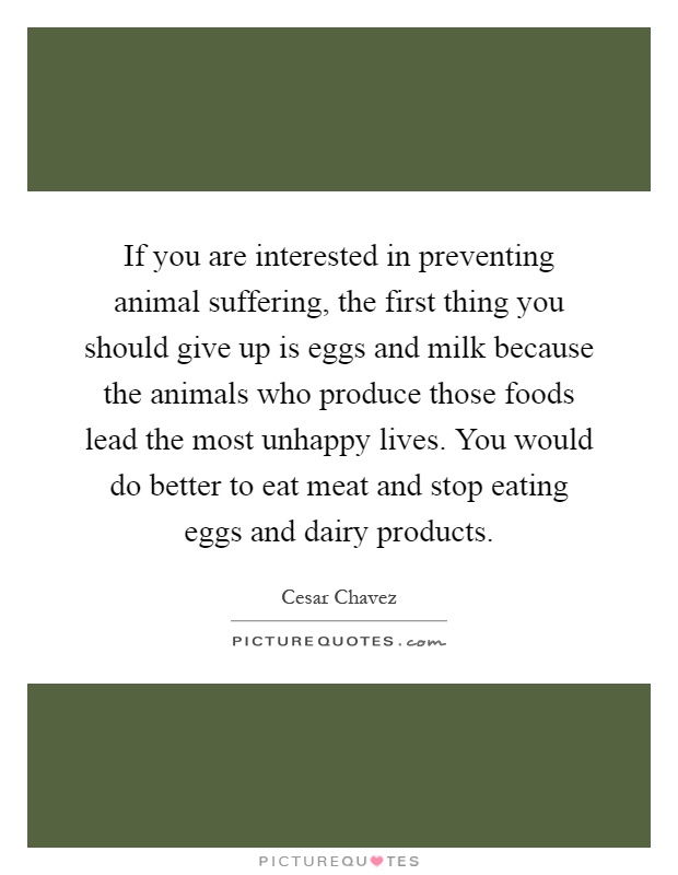 If you are interested in preventing animal suffering, the first thing you should give up is eggs and milk because the animals who produce those foods lead the most unhappy lives. You would do better to eat meat and stop eating eggs and dairy products Picture Quote #1