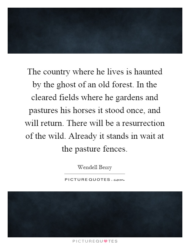 The country where he lives is haunted by the ghost of an old forest. In the cleared fields where he gardens and pastures his horses it stood once, and will return. There will be a resurrection of the wild. Already it stands in wait at the pasture fences Picture Quote #1