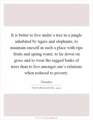 It is better to live under a tree in a jungle inhabited by tigers and elephants, to maintain oneself in such a place with ripe fruits and spring water, to lie down on grass and to wear the ragged barks of trees than to live amongst one’s relations when reduced to poverty Picture Quote #1